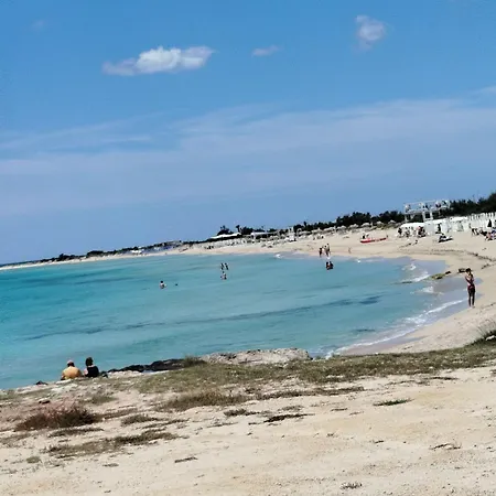 The Playa